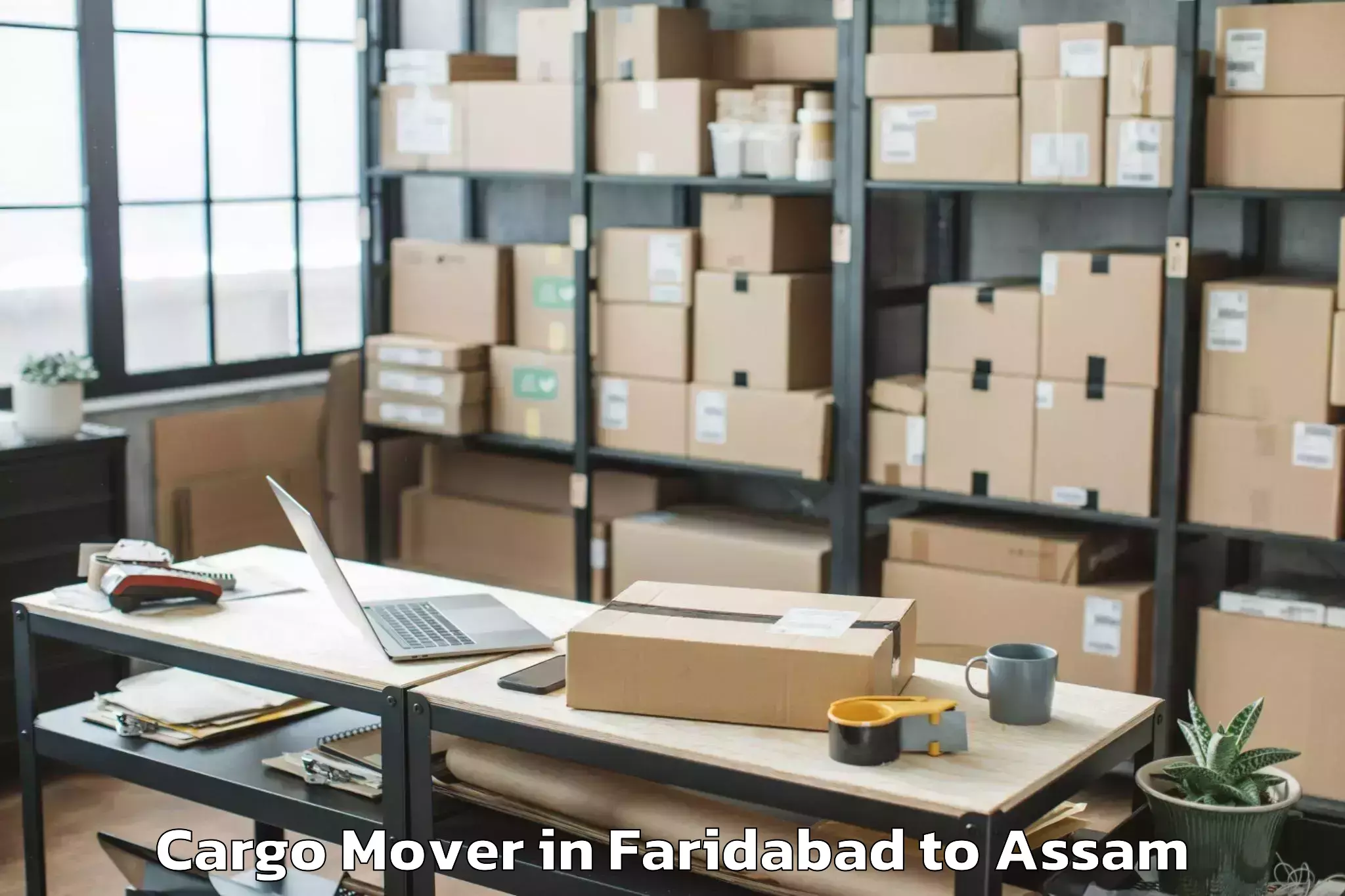 Top Faridabad to Silchar Airport Ixs Cargo Mover Available